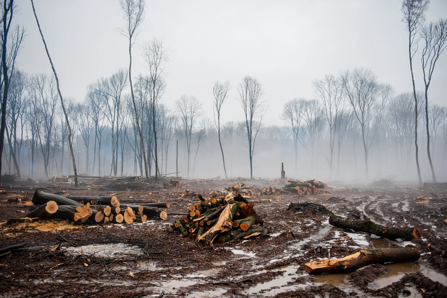 Exporting essentials: Customs classification and commodity codes | The ...