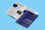 2503251 Importing Goods 492X328 1