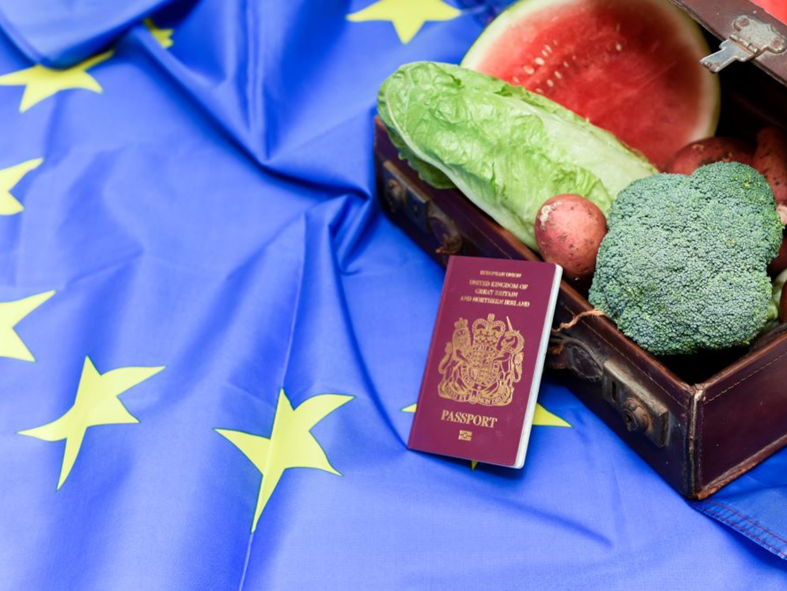 SPS goods in front of British passport and EU flag