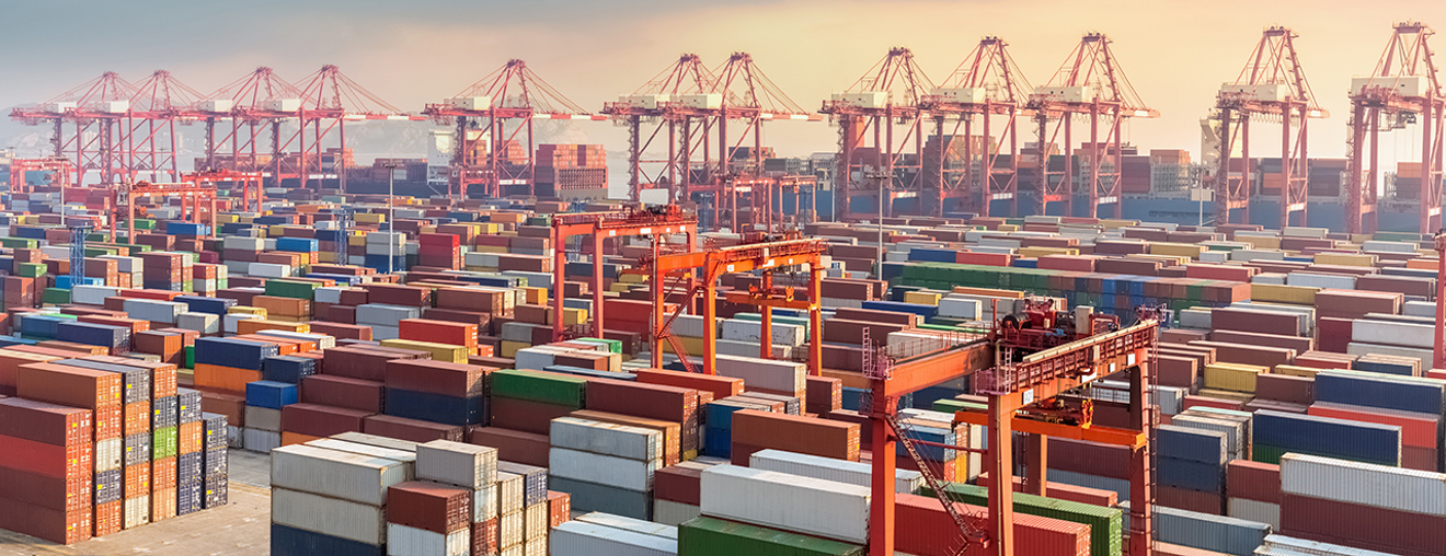 Port terminal 