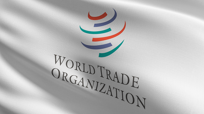 World Trade Organization flag