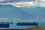 Redseashipping