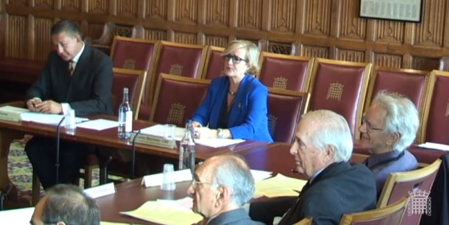 Lesley Batchelor OBE at the Select Committee