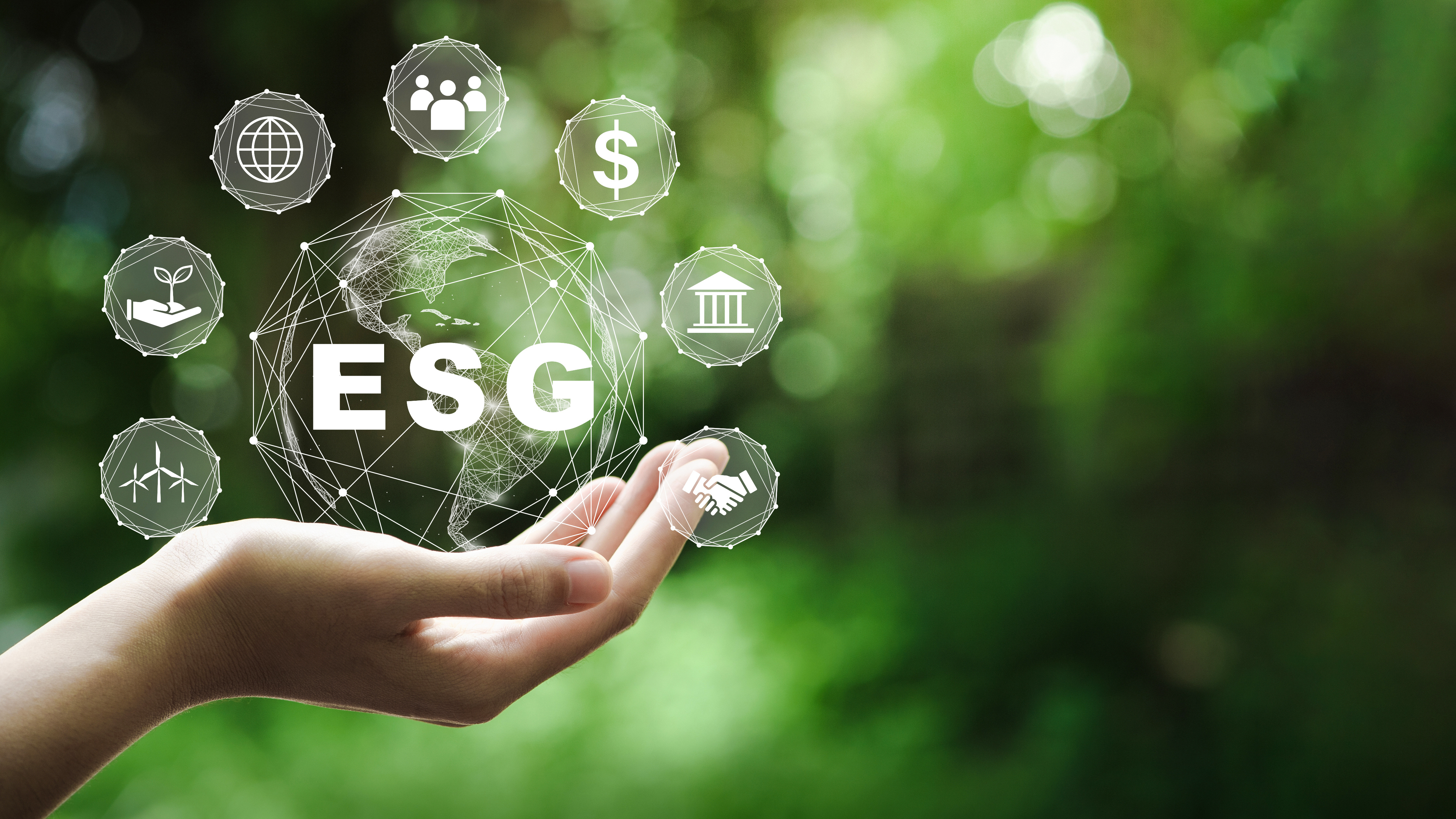 ESG - Environmental Social Governance issues