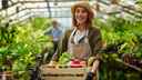 Farming Fruit Picker