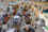 Adobestock 238882028 (1)