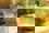 export_import