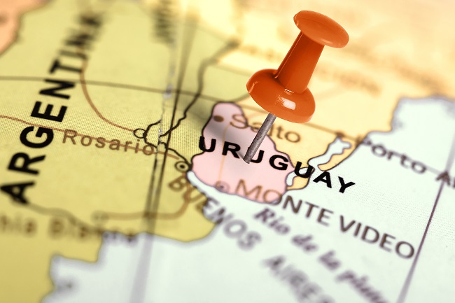 globe with pin in Uruguay